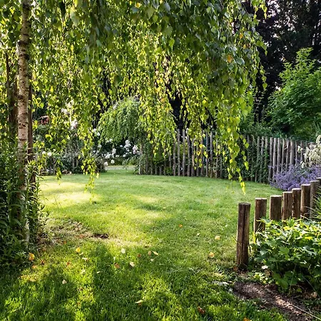 San Francesco 3* Савильяно