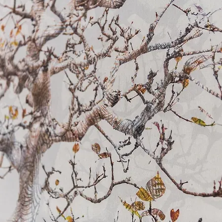 San Francesco 3* Savigliano